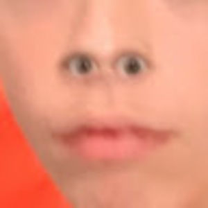 Meet your Posher, Brock